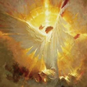 琉璃苣（Prod EVOMUSIC)