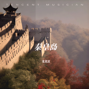 阿那亚的鲸