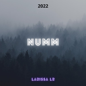 Numm