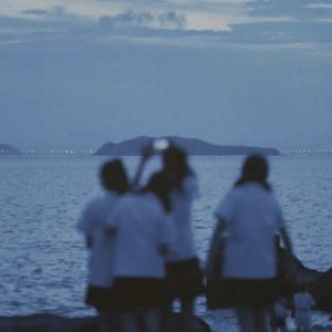 平凡的日子也在闪着光