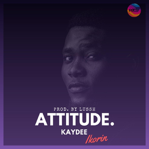 Attitude