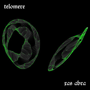 telomere 3
