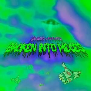 Broken Into Pieces