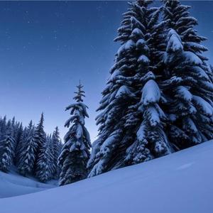 Shake the Snowglobe