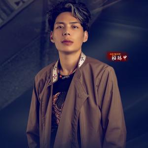 班马甲 弹唱 （翻自 班马甲）