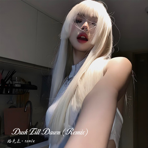 Dusk Till Dawn (Remix)