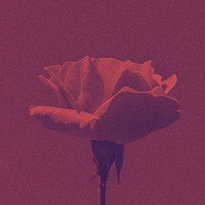 安静的在职的声音