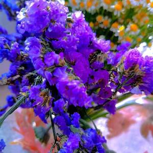 夏季限定（PROD BY XVIBE）