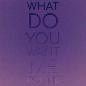 What Do You Want Me Toune