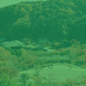 柔和的温泉时刻