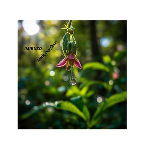 Umthwalo Wami (feat. Lindz_Dey_Quan)