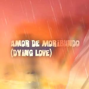 Dying Love (feat. Palma Vanda)