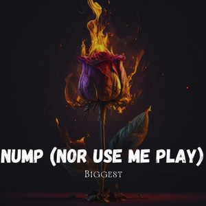 NUMP(NOR USE ME PLAY)