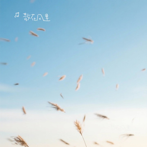 问西游
