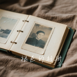 褪色的相册