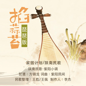 掐蒜苔(琵琶版)