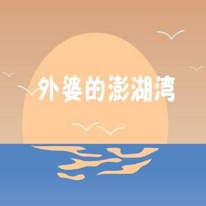 外婆的澎湖湾(DJ阿卓版)