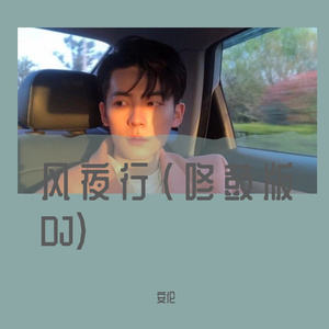 风夜行 (DJ加快版)（翻自 蒋雪儿）