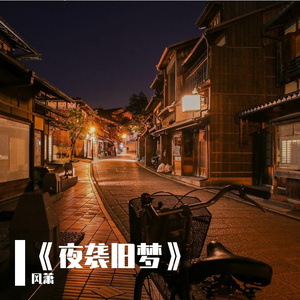 《夜袭旧梦》