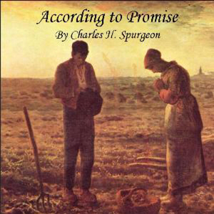 Taking Possession of the Promise