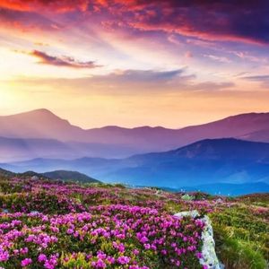 有一种悲伤(Live)_伊❤染i_030333_track0_030333