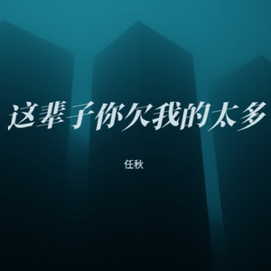 这辈子你欠我的太多