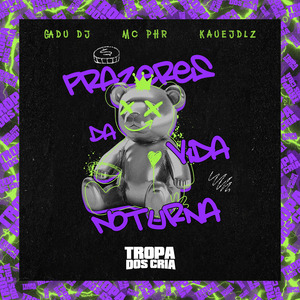 Prazeres da Vida Noturna