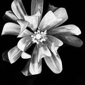 她在我心里还是那颗耀眼的水晶