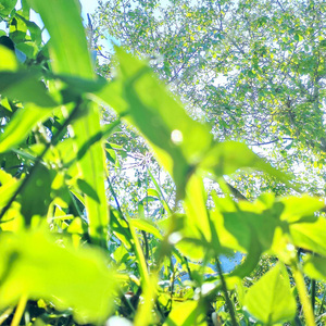 无名的人（片段）