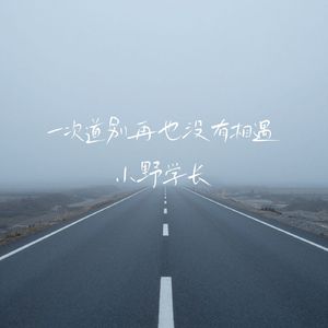一次道别再也没有相遇