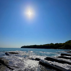 不是我偏爱独身