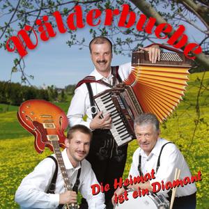 Wälderbuebe Medley / Sehnsucht nach der Ferne / Die Hoffnung / Der Mann im Boot / Immerwieder /