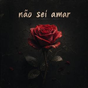 Não sei amar