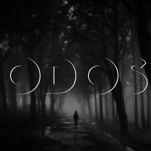 Douze coups de ma nuit