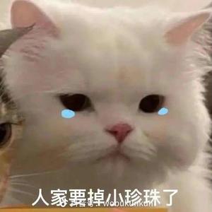 Aki阿杰- - 东风志（羽神 remix）