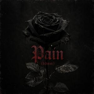 Pain(bdsm)