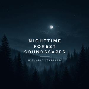 Woodland Sounds Beneath the Stars