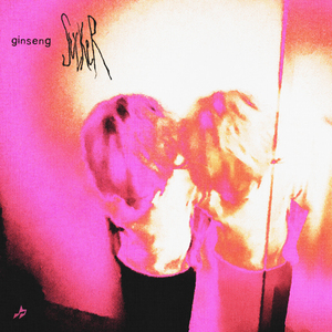 Idiot (feat. MISOGI)