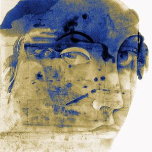 LA POZZANGHERA D'ORO
