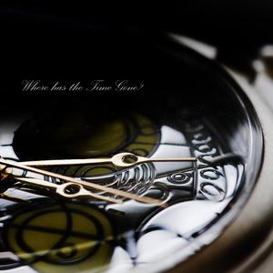 The 1st Movement (Overture)