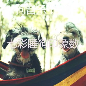 温和训练犬梦想