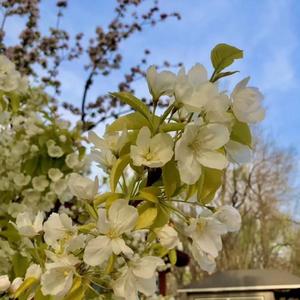 春风吹暖送十里.wav