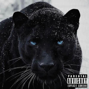 Black Panther: Under the Cover