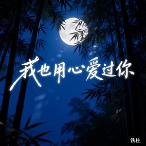 我也用心爱过你（男生心碎版）