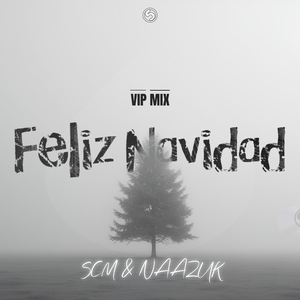 Feliz Navidad (VIP Mix)