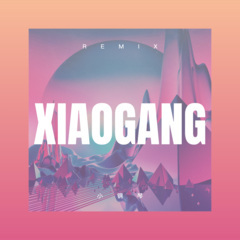 梦里面你是谁 (DJ弹鼓版)