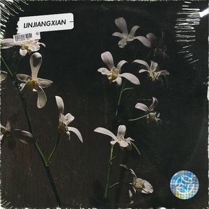 Free Sad Chinese Type Beat - "LinJiangXian"