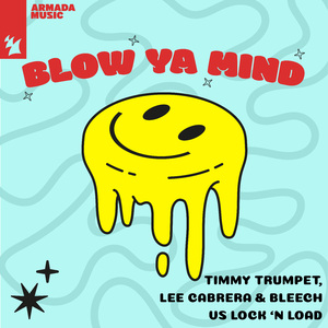 Blow Ya Mind (Extended Mix)