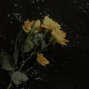 心脏的勒痕