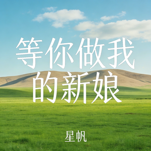 等你做我的新娘_伴奏